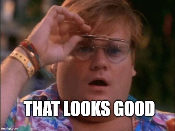 THAT LOOKS GOOD | THAT LOOKS GOOD | image tagged in chris farley wow | made w/ Imgflip meme maker