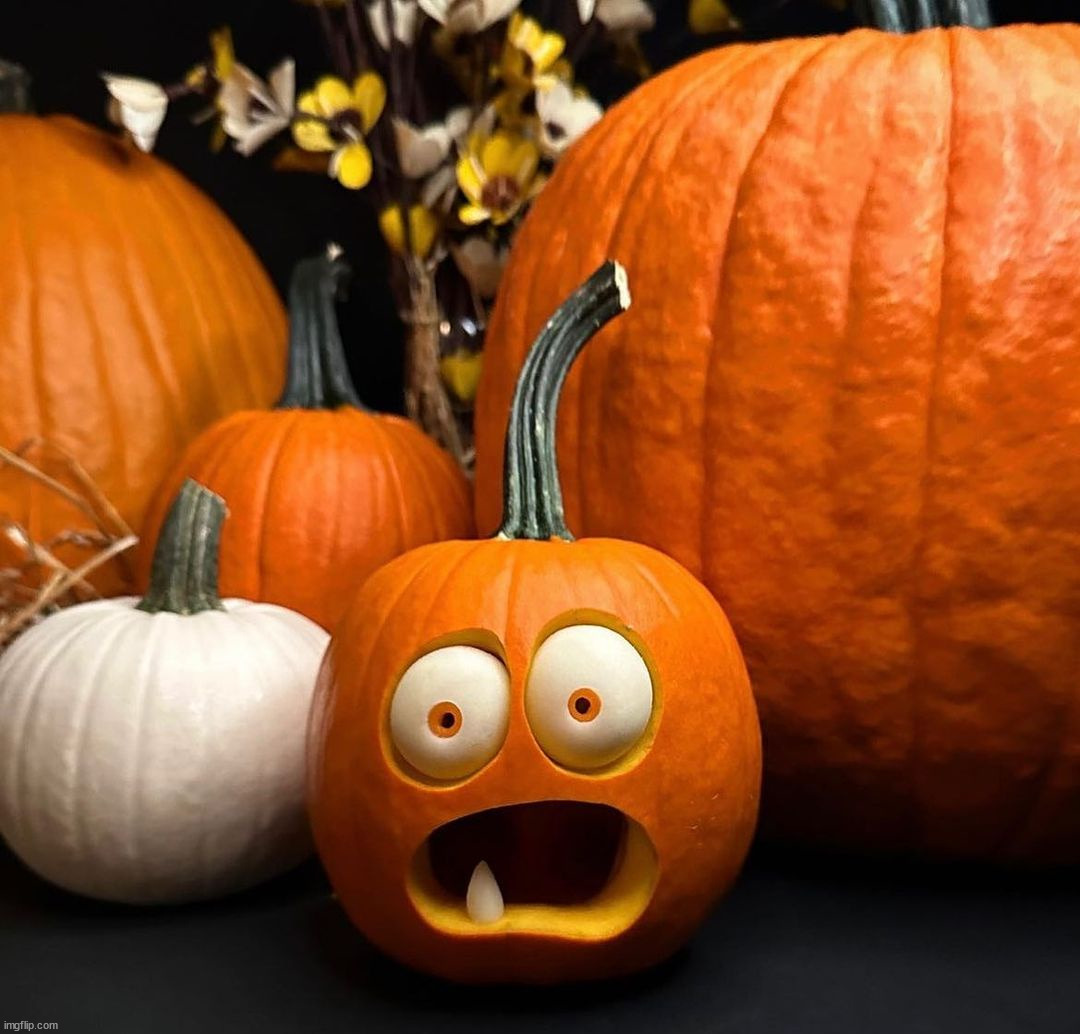 Pumpkins | image tagged in awesome | made w/ Imgflip meme maker