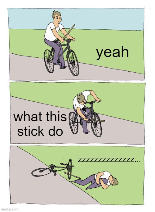 Bike Fall Meme | yeah; what this stick do; zzzzzzzzzzzzzz... | image tagged in memes,bike fall | made w/ Imgflip meme maker