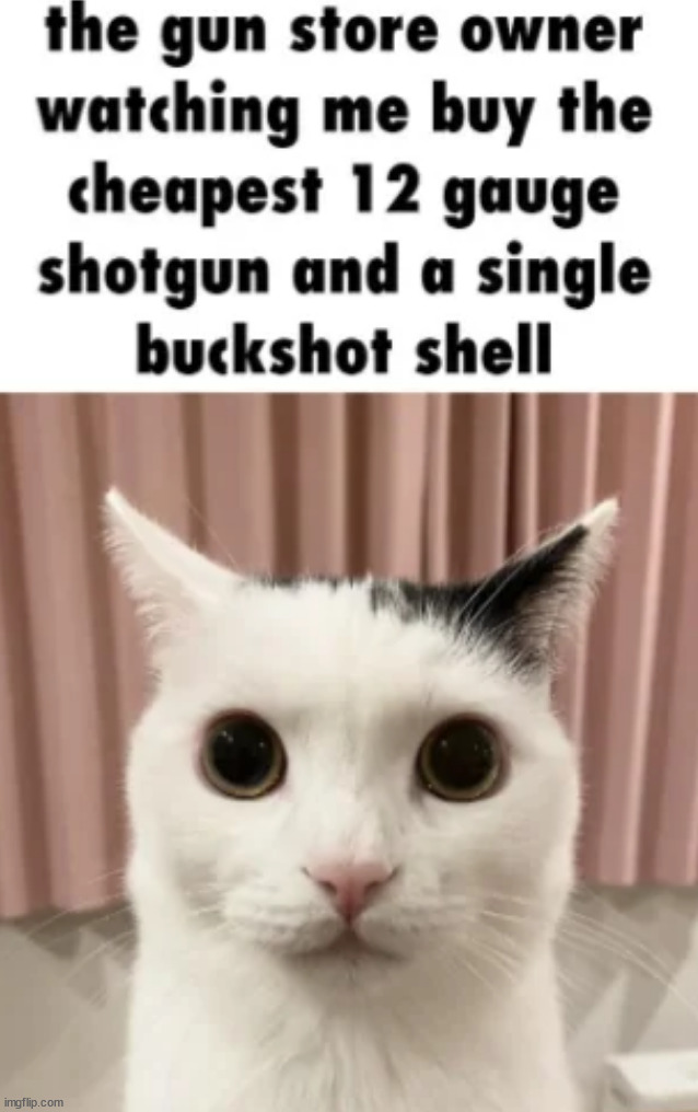 Shotgun | image tagged in dark humor | made w/ Imgflip meme maker