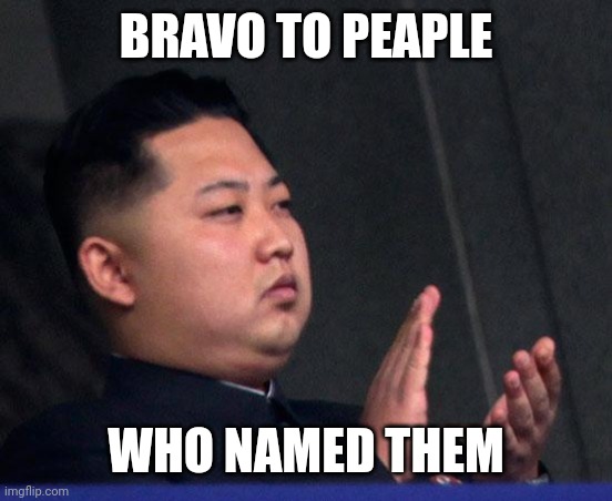 Bravo | BRAVO TO PEAPLE WHO NAMED THEM | image tagged in bravo | made w/ Imgflip meme maker