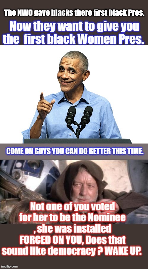 Tell the DEM Plantation slave Masters, Nope not again. Vote with a open & free mind.Barry just insulted you all. | made w/ Imgflip meme maker