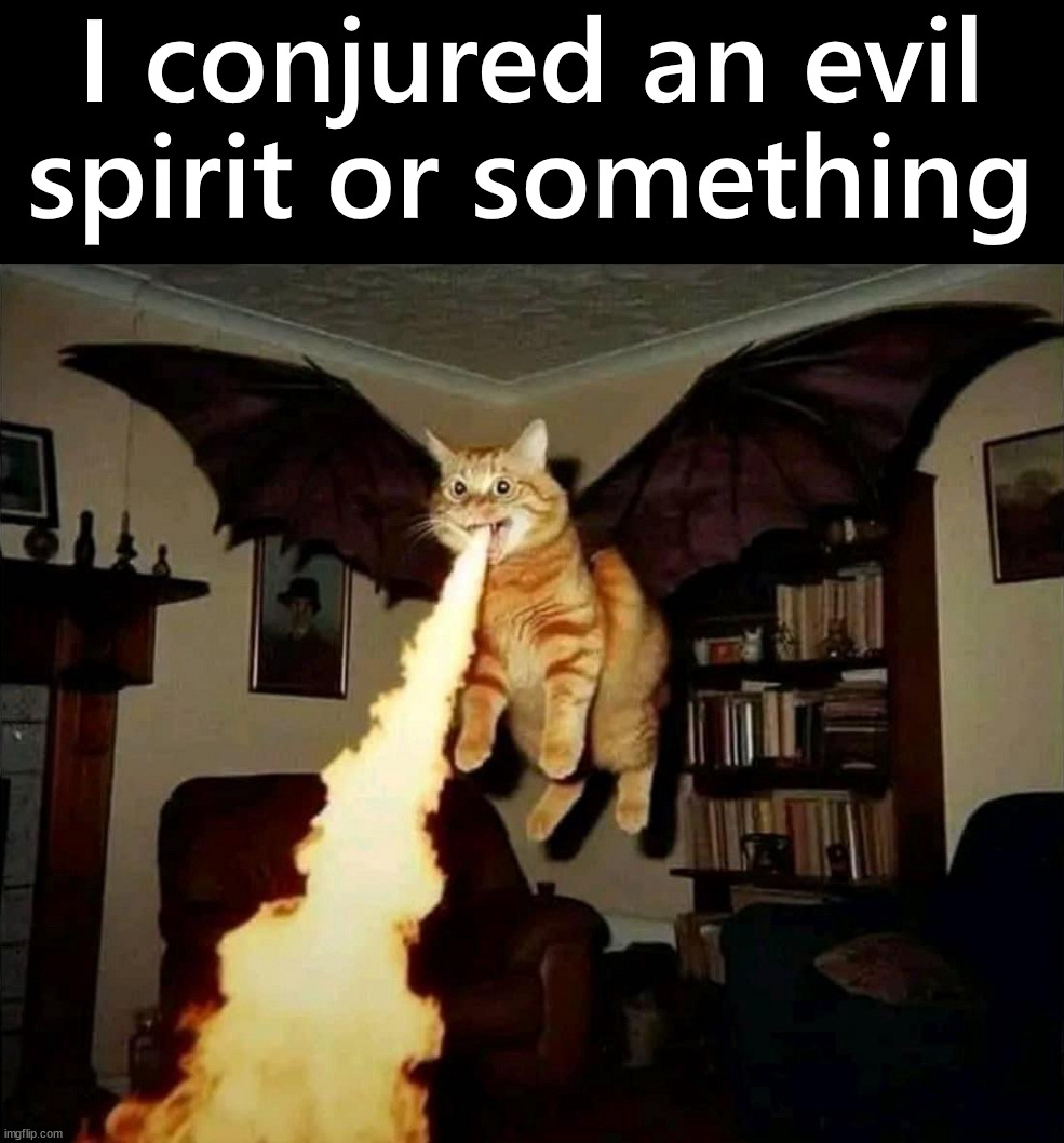 Should not use Ouija board with the cat | I conjured an evil spirit or something | image tagged in cats,ouija | made w/ Imgflip meme maker