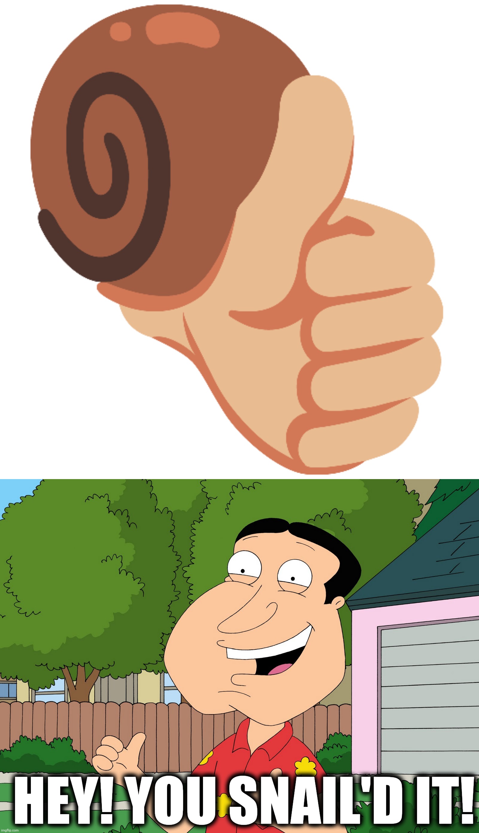 ? | HEY! YOU SNAIL'D IT! | image tagged in quagmire family guy | made w/ Imgflip meme maker