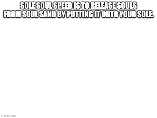 Sole purpose. | SOLE SOUL SPEED IS TO RELEASE SOULS FROM SOUL SAND BY PUTTING IT ONTO YOUR SOLE. | image tagged in minecraft,soul,speed,enchant | made w/ Imgflip meme maker