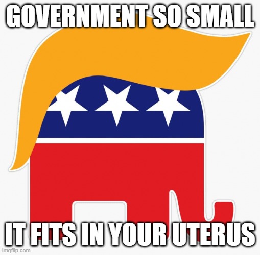 Goodbye Women's Rights | GOVERNMENT SO SMALL; IT FITS IN YOUR UTERUS | image tagged in trump gop elephant,gop,abortion,pro-choice,election | made w/ Imgflip meme maker