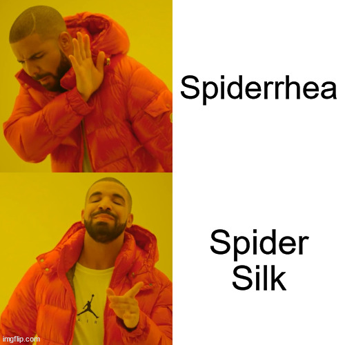 Spiderrhea | Spiderrhea; Spider Silk | image tagged in memes,drake hotline bling,spider,spiderweb | made w/ Imgflip meme maker