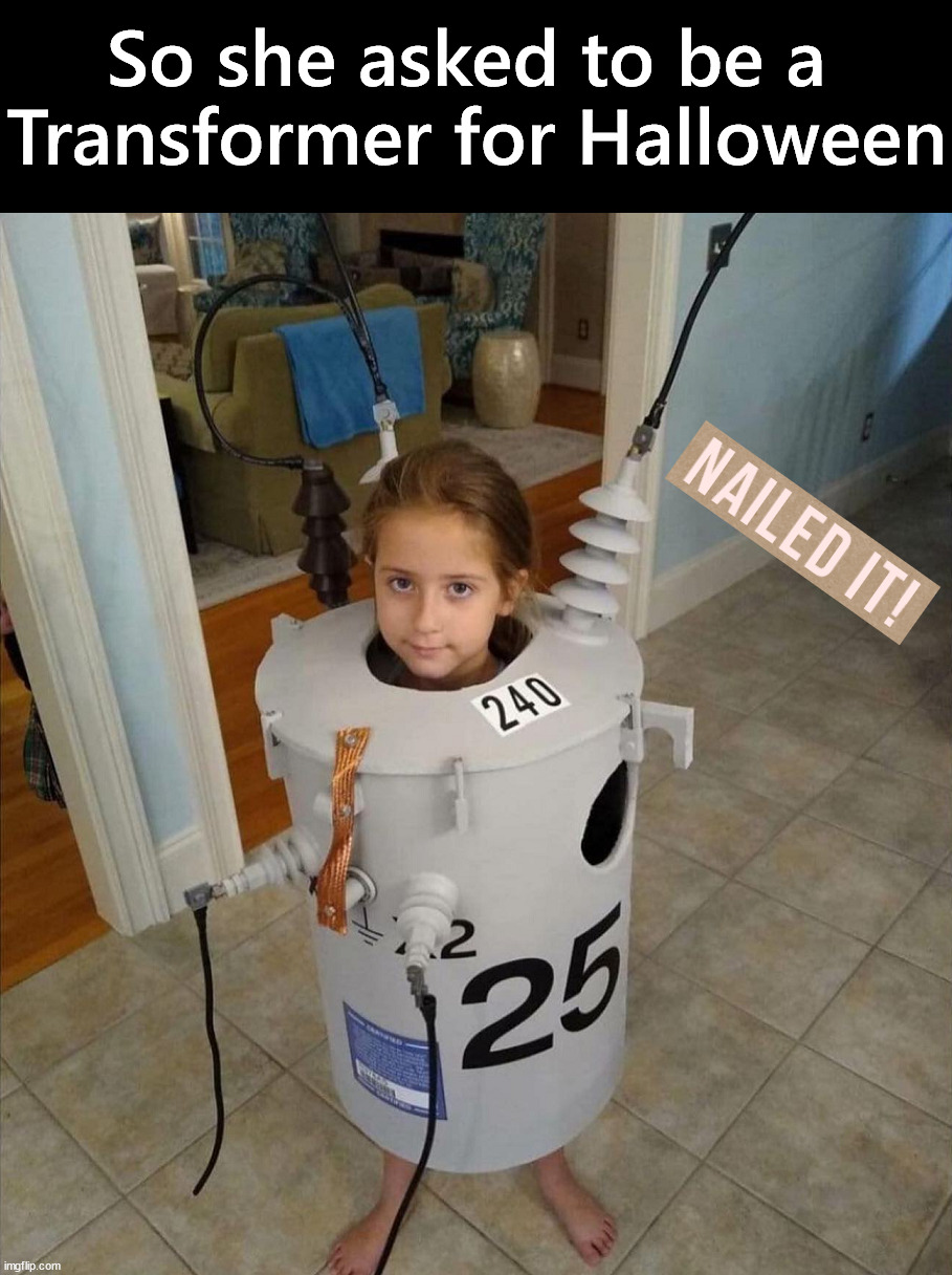 Maybe not what she wanted | So she asked to be a 
Transformer for Halloween | image tagged in fun,transformers,halloween,halloween costume | made w/ Imgflip meme maker