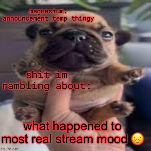pug temp | what happened to most real stream mood 😔 | image tagged in pug temp | made w/ Imgflip meme maker