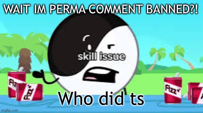 Skill issue | WAIT IM PERMA COMMENT BANNED?! Who did ts | image tagged in skill issue | made w/ Imgflip meme maker