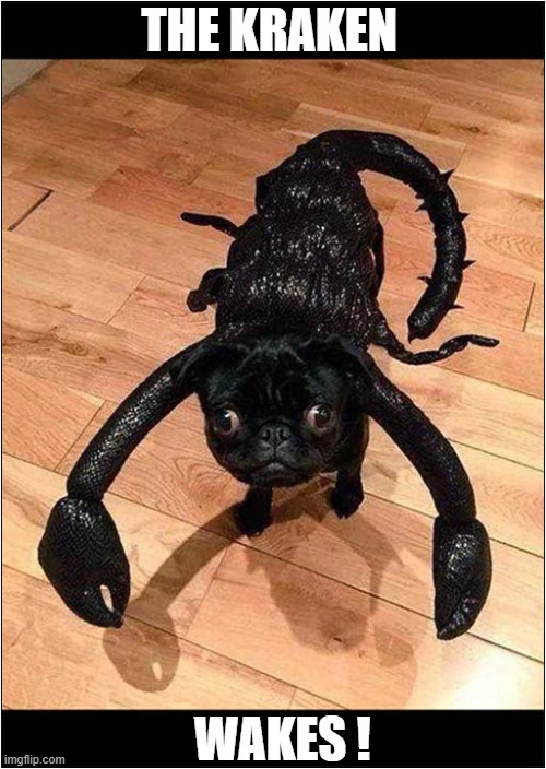 Great Halloween Costume | THE KRAKEN; WAKES ! | image tagged in dogs,halloween costume,kraken | made w/ Imgflip meme maker