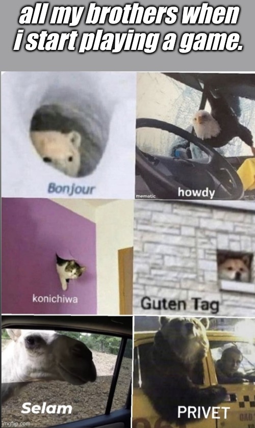 they alway watch me | all my brothers when i start playing a game. | image tagged in bonjour howdy konichiwa guten tag selam privet | made w/ Imgflip meme maker