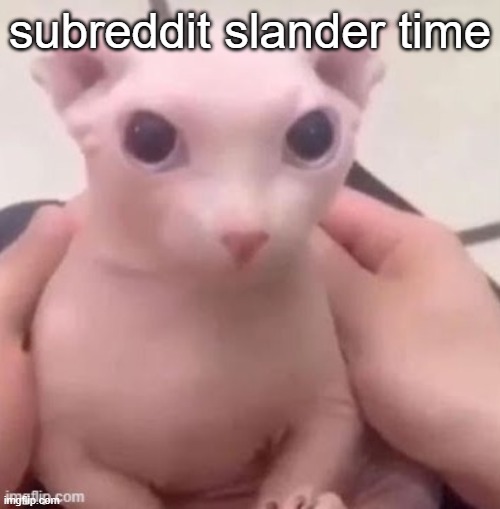 bingus | subreddit slander time | image tagged in bingus | made w/ Imgflip meme maker