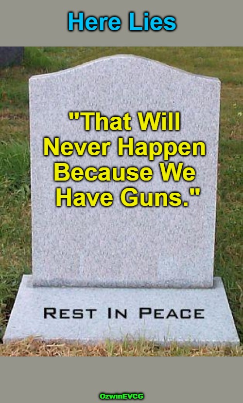 a Closet of Firearms vs a Mansion of Coping | Here Lies; "That Will 

Never Happen 

Because We 

Have Guns."; OzwinEVCG | image tagged in here lies,second amendment,self-defense,american history,the struggle is real,america's future | made w/ Imgflip meme maker