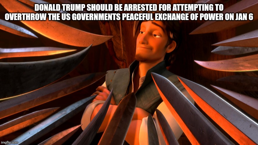 Unpopular Opinion Flynn | DONALD TRUMP SHOULD BE ARRESTED FOR ATTEMPTING TO OVERTHROW THE US GOVERNMENTS PEACEFUL EXCHANGE OF POWER ON JAN 6 | image tagged in unpopular opinion flynn | made w/ Imgflip meme maker