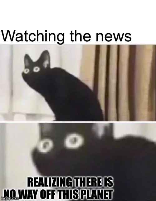 Oh No Black Cat | Watching the news; REALIZING THERE IS NO WAY OFF THIS PLANET | image tagged in oh no black cat,news,doom,halloween | made w/ Imgflip meme maker