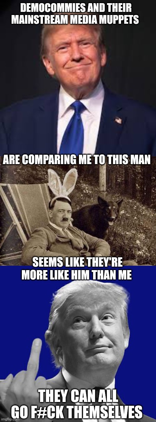 Donald Trump | DEMOCOMMIES AND THEIR MAINSTREAM MEDIA MUPPETS; ARE COMPARING ME TO THIS MAN; SEEMS LIKE THEY'RE MORE LIKE HIM THAN ME; THEY CAN ALL GO F#CK THEMSELVES | image tagged in hitler | made w/ Imgflip meme maker