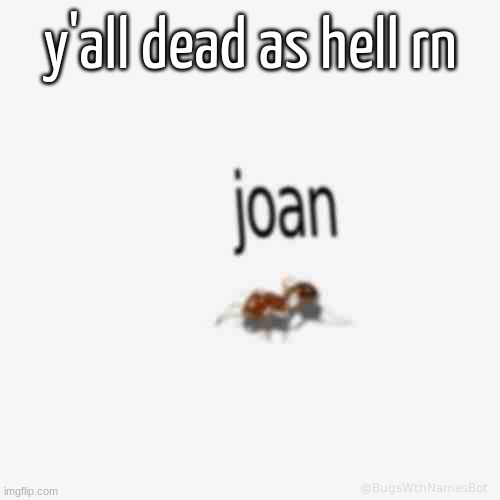 low quality bug | y'all dead as hell rn | image tagged in low quality bug | made w/ Imgflip meme maker