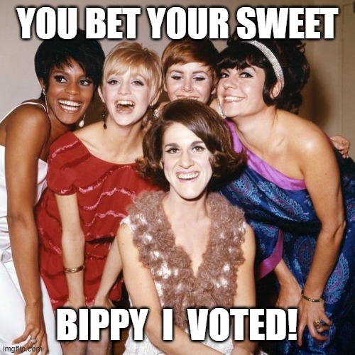 You bet your sweet bippy I voted! | YOU BET YOUR SWEET; BIPPY  I  VOTED! | image tagged in laugh in ladies,chelea brown,goldie hawn,judy carne,ruth buzzi,jo anne worley | made w/ Imgflip meme maker