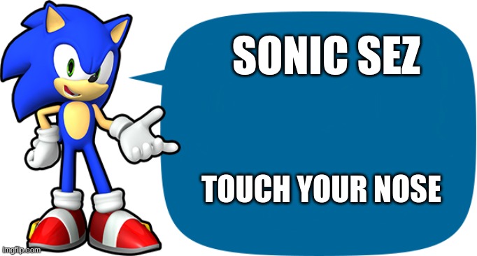 simon sez | SONIC SEZ; TOUCH YOUR NOSE | image tagged in sonic sez | made w/ Imgflip meme maker