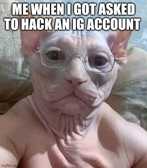 ME WHEN I GOT ASKED TO HACK AN IG ACCOUNT | image tagged in memes | made w/ Imgflip meme maker