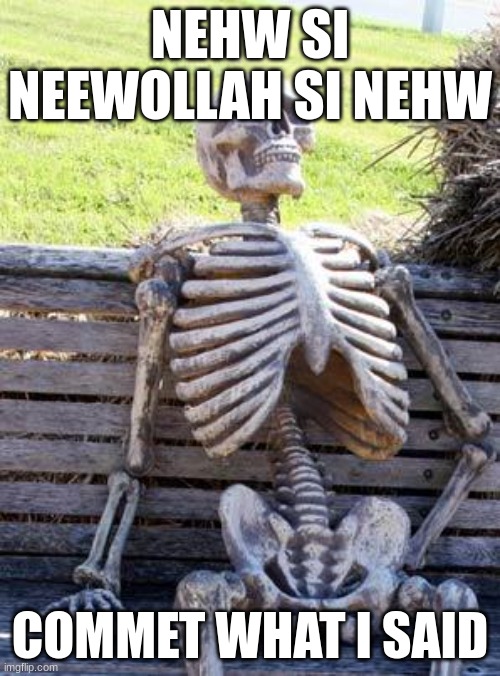 Waiting Skeleton | NEHW SI NEEWOLLAH SI NEHW; COMMET WHAT I SAID | image tagged in memes,waiting skeleton | made w/ Imgflip meme maker