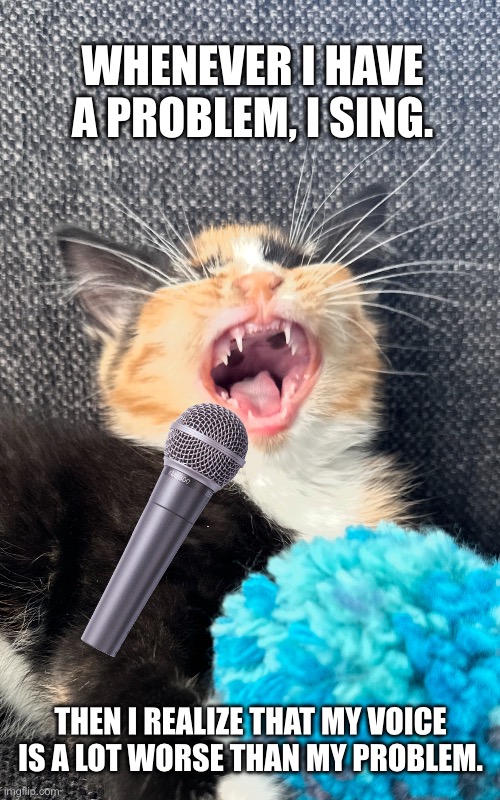 Whenever I have a problem, I sing. | WHENEVER I HAVE A PROBLEM, I SING. THEN I REALIZE THAT MY VOICE
IS A LOT WORSE THAN MY PROBLEM. | image tagged in singing cat | made w/ Imgflip meme maker