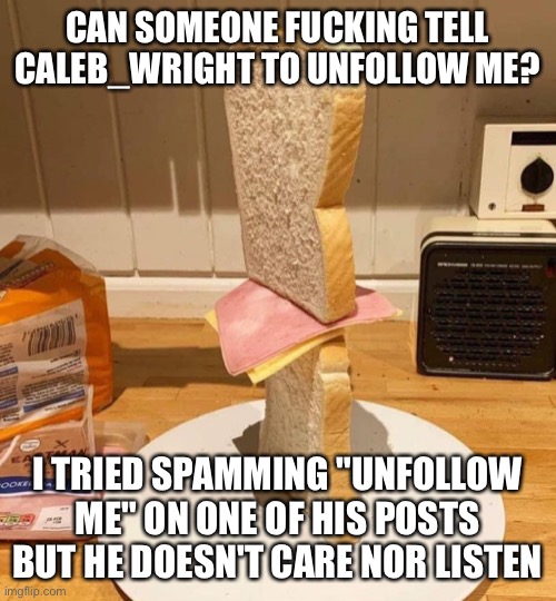 Standwich | CAN SOMEONE FUCKING TELL CALEB_WRIGHT TO UNFOLLOW ME? I TRIED SPAMMING "UNFOLLOW ME" ON ONE OF HIS POSTS BUT HE DOESN'T CARE NOR LISTEN | image tagged in standwich | made w/ Imgflip meme maker