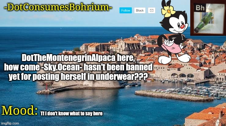 -Sky.Ocean-??? Bruh | DotTheMontenegrinAlpaca here, how come -Sky.Ocean- hasn't been banned yet for posting herself in underwear??? Tf I don't know what to say here | image tagged in -dotconsumesbohrium- announcement template,funny,question,skyocean,imgflip,why | made w/ Imgflip meme maker