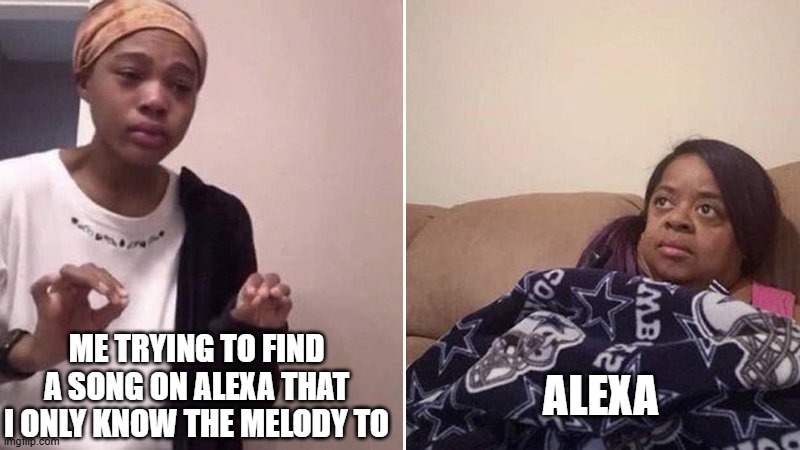 Me explaining to my mom | ME TRYING TO FIND A SONG ON ALEXA THAT I ONLY KNOW THE MELODY TO; ALEXA | image tagged in true,memes,you're actually reading the tags | made w/ Imgflip meme maker