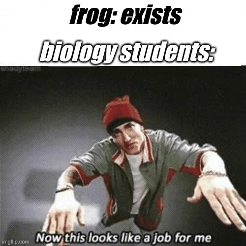 Now this looks like a job for me | frog: exists; biology students: | image tagged in now this looks like a job for me | made w/ Imgflip meme maker