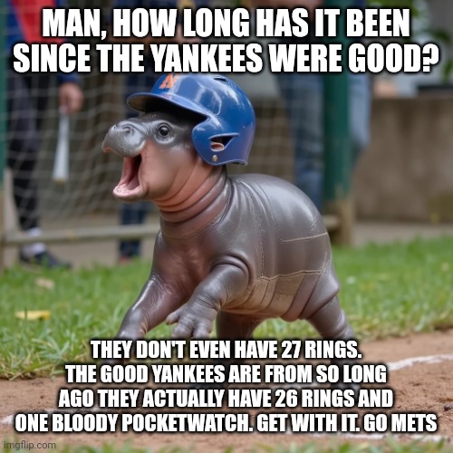 Moo Deng says Go Mets | MAN, HOW LONG HAS IT BEEN SINCE THE YANKEES WERE GOOD? THEY DON'T EVEN HAVE 27 RINGS. THE GOOD YANKEES ARE FROM SO LONG AGO THEY ACTUALLY HAVE 26 RINGS AND ONE BLOODY POCKETWATCH. GET WITH IT. GO METS | image tagged in baseball,major league baseball,hippopotamus,hippo,sports,world series | made w/ Imgflip meme maker