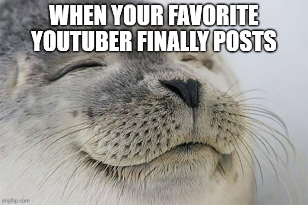 Satisfied Seal Meme | WHEN YOUR FAVORITE YOUTUBER FINALLY POSTS | image tagged in memes,satisfied seal | made w/ Imgflip meme maker