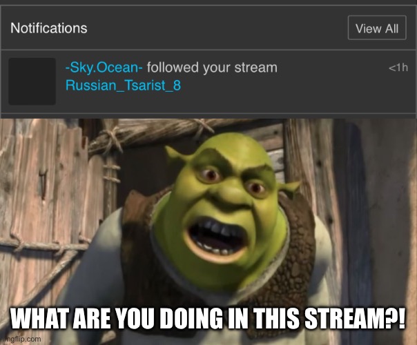 Banned -sky.ocean- | WHAT ARE YOU DOING IN THIS STREAM?! | image tagged in shrek what are you doing in my swamp | made w/ Imgflip meme maker