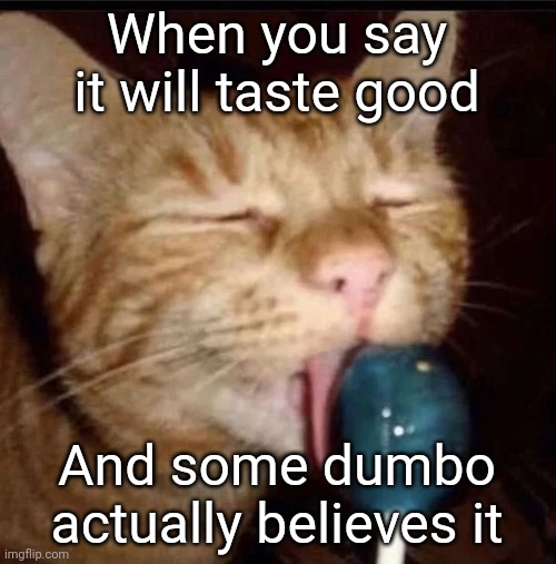 It ain't sweet lollipop | When you say it will taste good; And some dumbo actually believes it | image tagged in silly goober 2 | made w/ Imgflip meme maker