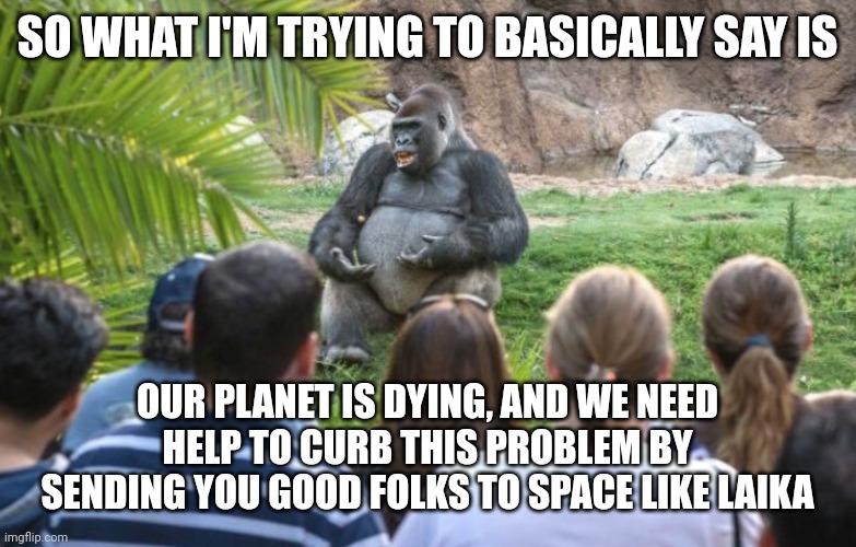 Subtly delivery | SO WHAT I'M TRYING TO BASICALLY SAY IS; OUR PLANET IS DYING, AND WE NEED
HELP TO CURB THIS PROBLEM BY
SENDING YOU GOOD FOLKS TO SPACE LIKE LAIKA | image tagged in ted talk gorilla | made w/ Imgflip meme maker