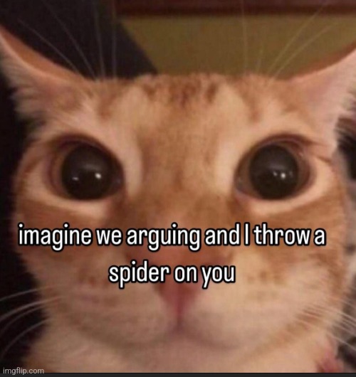 Spider | image tagged in spider | made w/ Imgflip meme maker