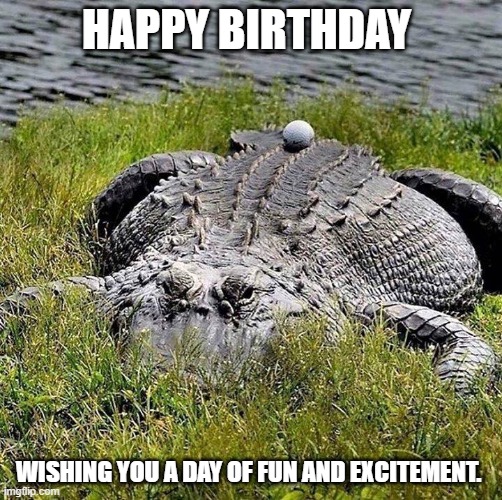 Found your golf ball | HAPPY BIRTHDAY; WISHING YOU A DAY OF FUN AND EXCITEMENT. | image tagged in found your golf ball | made w/ Imgflip meme maker