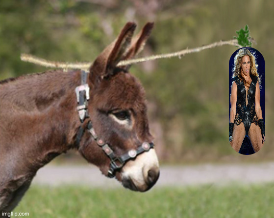 carrot on a stick | image tagged in carrot on a stick | made w/ Imgflip meme maker