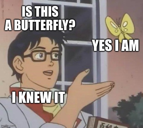 KNEW IT!!! | IS THIS A BUTTERFLY? YES I AM; I KNEW IT | image tagged in memes,is this a pigeon | made w/ Imgflip meme maker