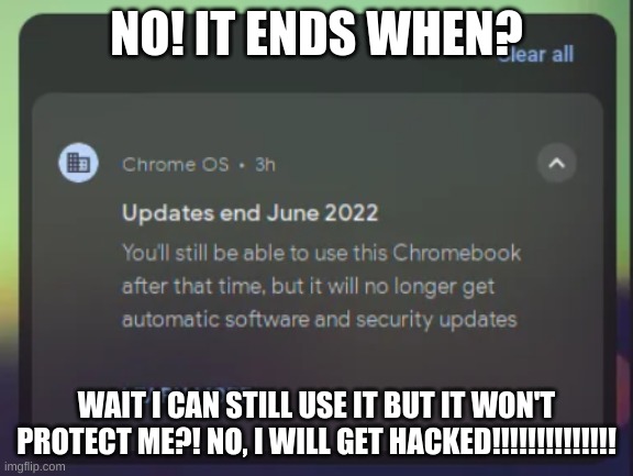 NOOOOOOOOOOOOOOOOOOO | NO! IT ENDS WHEN? WAIT I CAN STILL USE IT BUT IT WON'T PROTECT ME?! NO, I WILL GET HACKED!!!!!!!!!!!!!! | image tagged in nooooooooooooooooooo | made w/ Imgflip meme maker