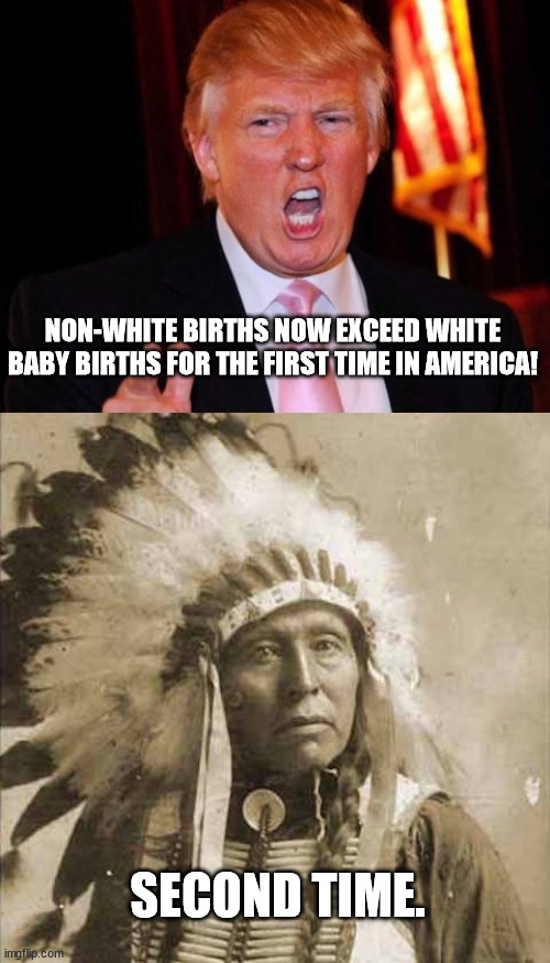 Donald Trump and Native American | NON-WHITE BIRTHS NOW EXCEED WHITE BABY BIRTHS FOR THE FIRST TIME IN AMERICA! SECOND TIME. | image tagged in donald trump and native american | made w/ Imgflip meme maker