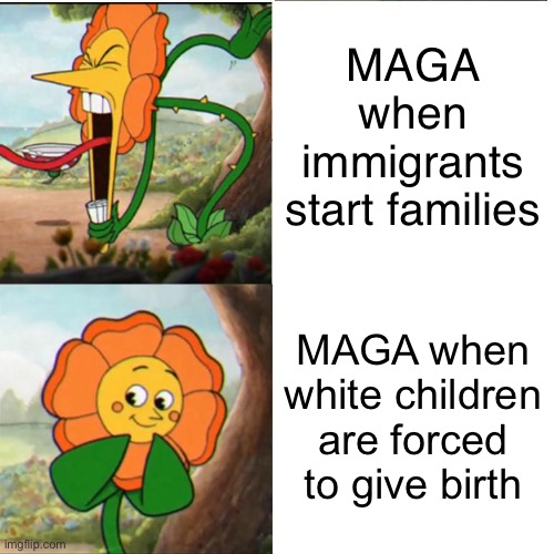 MAGA is so messed up | MAGA when immigrants start families; MAGA when white children are forced to give birth | image tagged in cuphead flower,scumbag republicans,abortion,immigration | made w/ Imgflip meme maker