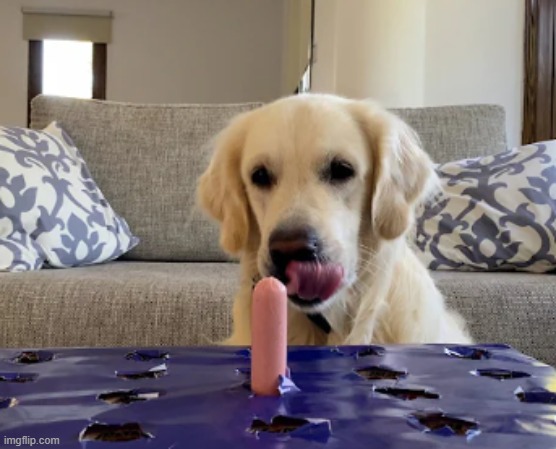 whack-a-mole | made w/ Imgflip meme maker