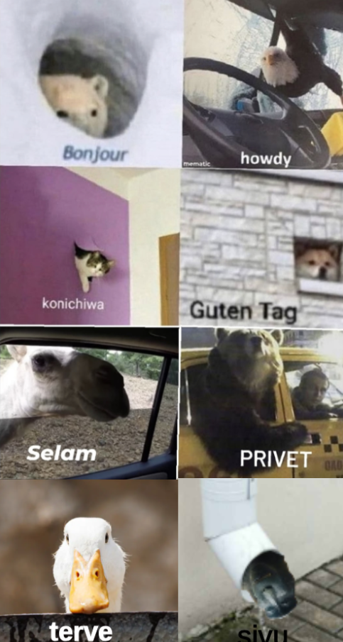bonjour, howdy, konichiwa, guten tag, selam, privet, terve, sivu Blank Meme Template