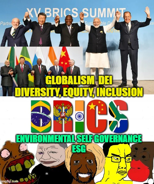 GLOBALISM  DEI
DIVERSITY, EQUITY, INCLUSION ENVIRONMENTAL SELF GOVERNANCE
ESG | image tagged in brics | made w/ Imgflip meme maker