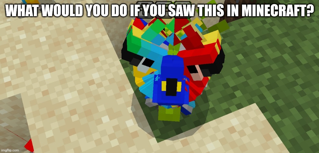 Comment what you would do | WHAT WOULD YOU DO IF YOU SAW THIS IN MINECRAFT? | image tagged in crazy parrot,parrot,cursed | made w/ Imgflip meme maker