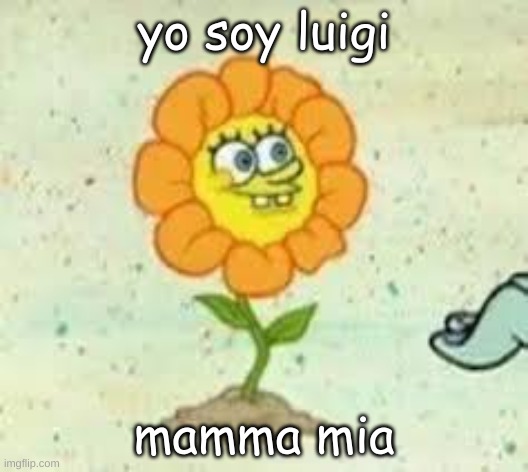 flowey | yo soy luigi; mamma mia | image tagged in flowey | made w/ Imgflip meme maker