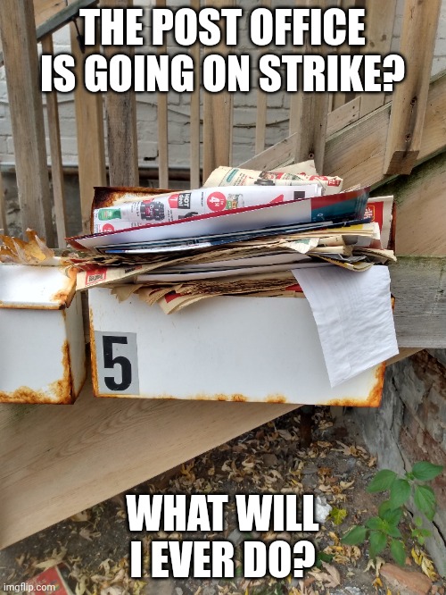 The post office is going on strike? | THE POST OFFICE IS GOING ON STRIKE? WHAT WILL I EVER DO? | image tagged in mailman,mail,post office | made w/ Imgflip meme maker