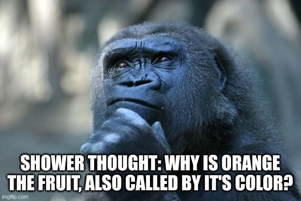 I wanna know :( | SHOWER THOUGHT: WHY IS ORANGE THE FRUIT, ALSO CALLED BY IT'S COLOR? | image tagged in deep thoughts | made w/ Imgflip meme maker